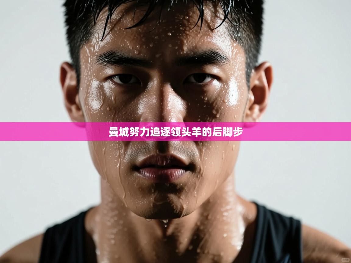 曼城努力追逐领头羊的后脚步